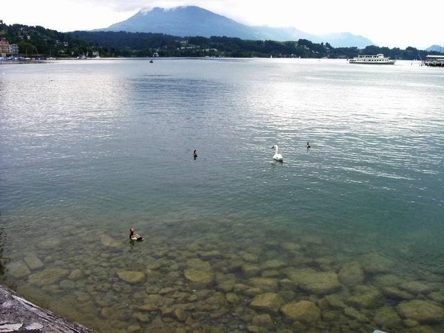 DSCF5941.JPG
